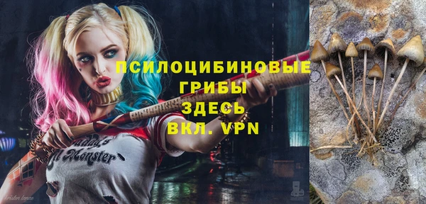 шишки Абдулино