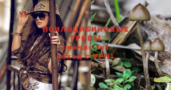 шишки Абдулино